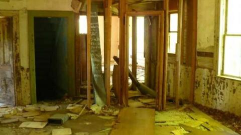 Mellow Yellow - P1070450.jpg