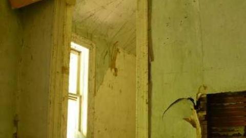 Mellow Yellow - P1070451.jpg