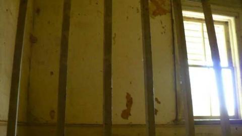 Mellow Yellow - P1070453.jpg