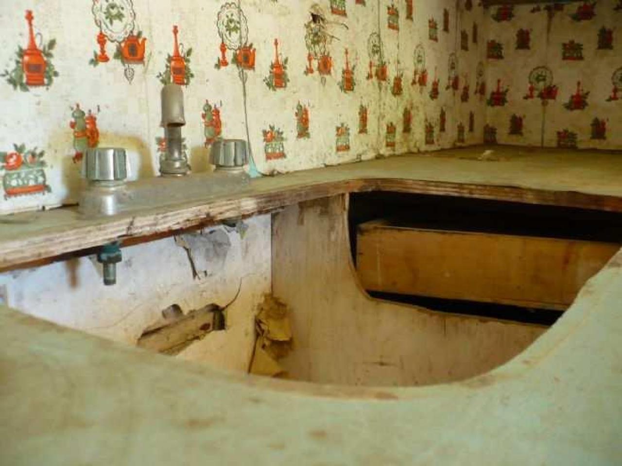 Mellow Yellow - P1070456.jpg