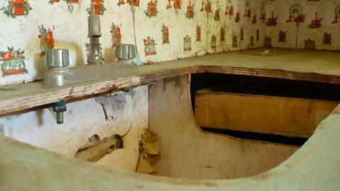 Mellow Yellow - P1070456.jpg