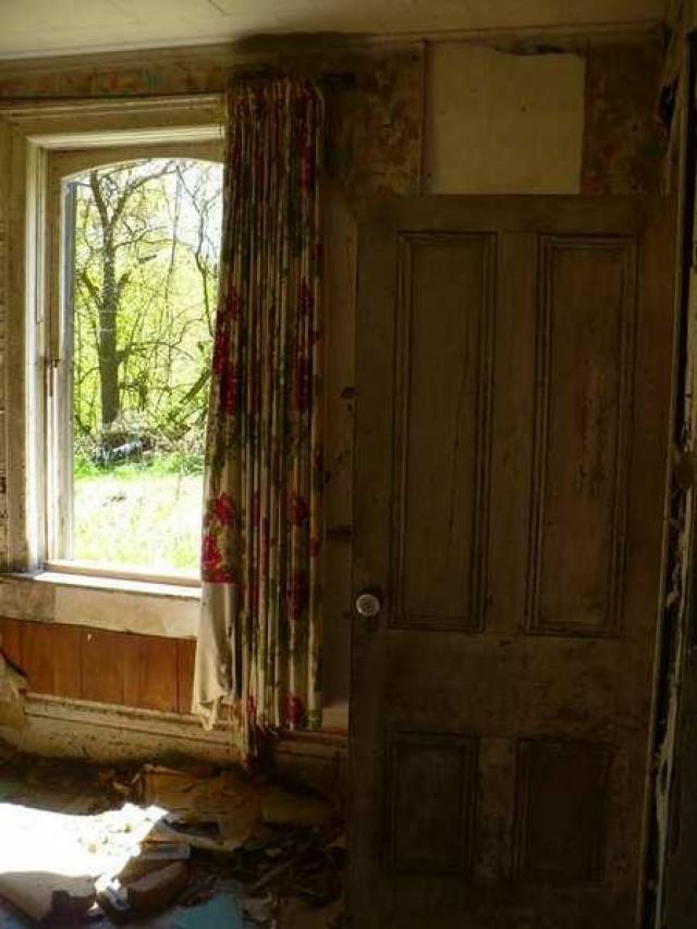 Yellow Brick Abode photo 3