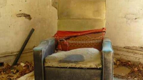 Mellow Yellow - P1070459.jpg