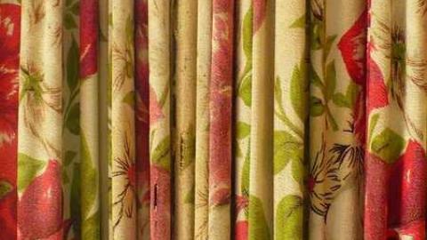 Mellow Yellow - P1070461.jpg