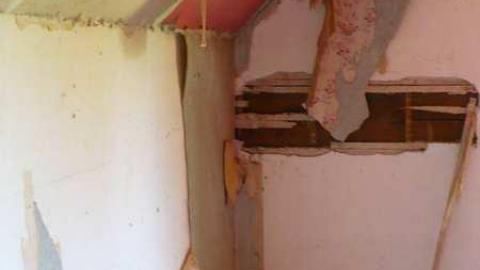 Mellow Yellow - P1070463.jpg