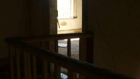 Mellow Yellow - P1070464.jpg