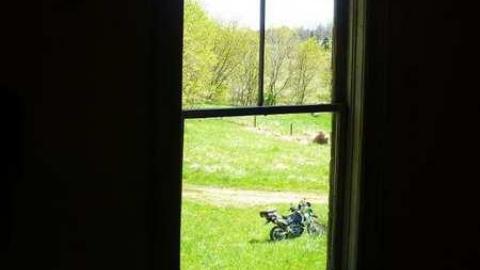 Mellow Yellow - P1070465.jpg