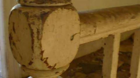 Mellow Yellow - P1070468.jpg