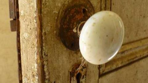 Mellow Yellow - P1070470.jpg