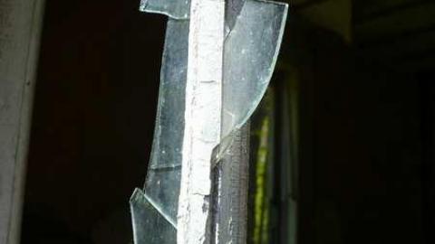 Mellow Yellow - P1070472.jpg