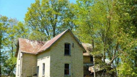 Mellow Yellow - P1070481.jpg