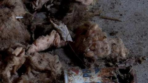 April 6th 2012 - Pepsi.jpg