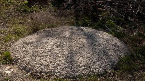 April 6th 2012 - Concrete.jpg