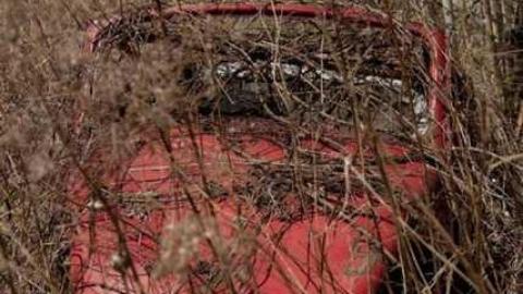 April 6th 2012 - Car Out Back 3.jpg