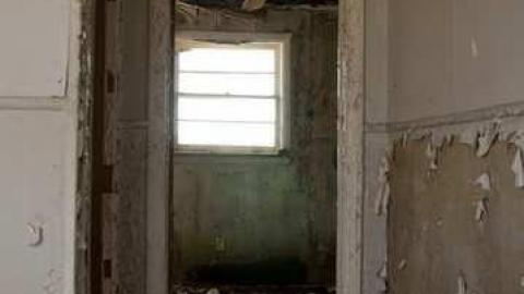 April 6th 2012 - (House) View From Kitchen.jpg