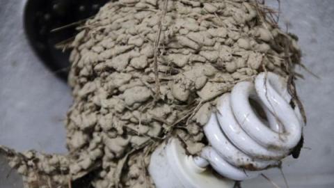 Gallery - Aurora-White-Pillar-House10.jpg