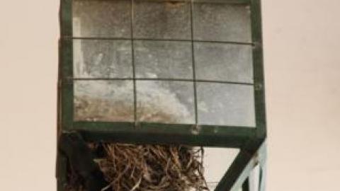 Gallery - Aurora-White-Pillar-House13.jpg