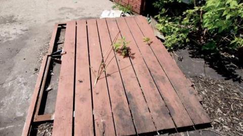 Jose's Noodle Factory photo 3