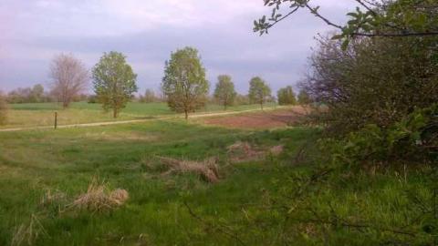 Demolition - The-Old-Observatory25.jpg