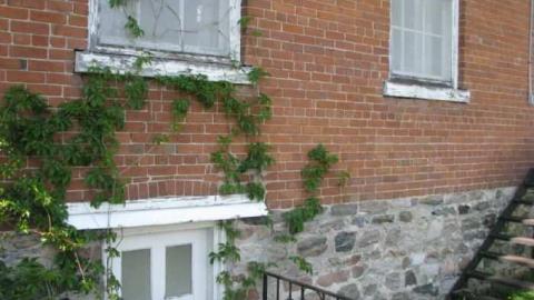 Palestine Church photo 5