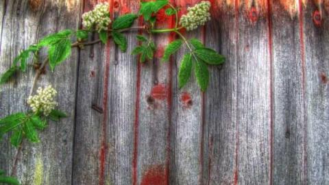 Angles are Attitudes - Horseshoe-Hill-Road-near-Star87.jpg