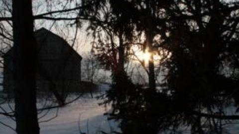 Gallery - IMG_1080.jpg