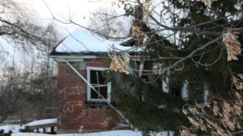 Gallery - IMG_1137.jpg