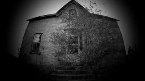 Photo from Steaksauce photography