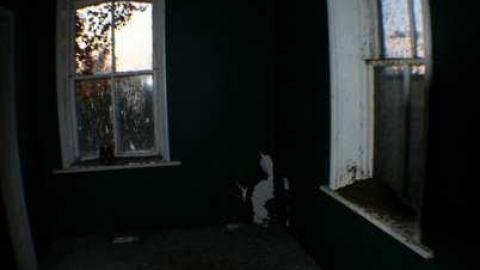 Steaksauce photography - 10.jpg