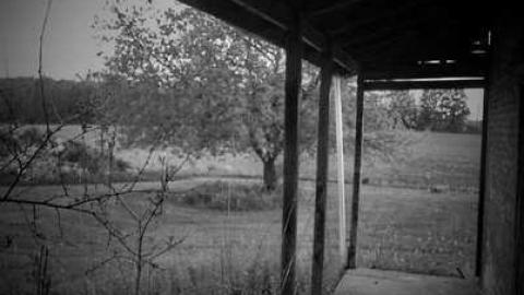 Steaksauce photography - 13.jpg