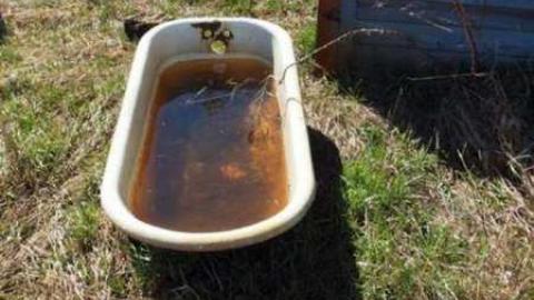 April 2012 - P4068471.jpg