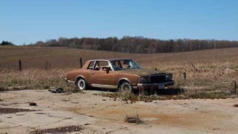 April 2012 - P4068475.jpg