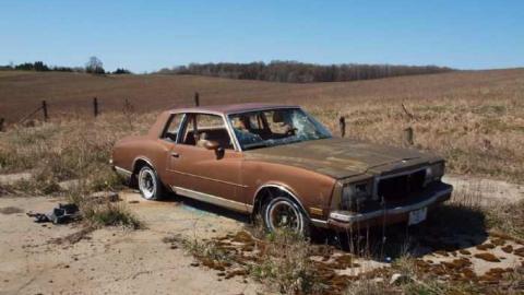 April 2012 - P4068479.jpg