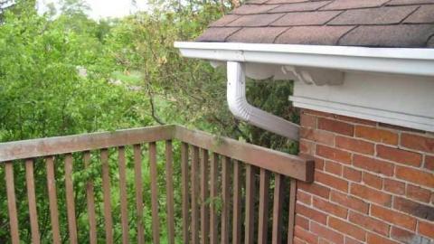 Holy Moley Foley Gone  - MJFR 102.jpg