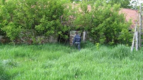 Holy Moley Foley Gone  - MJFR 071.jpg