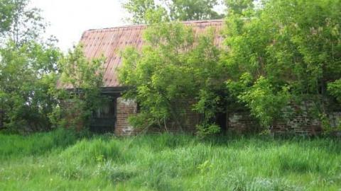 Holy Moley Foley Gone  - MJFR 074.jpg