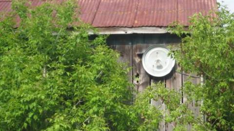 Holy Moley Foley Gone  - MJFR 078.jpg