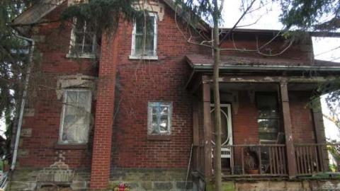 Photo from Heebie jeebies 