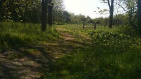 Gopher House photo 2