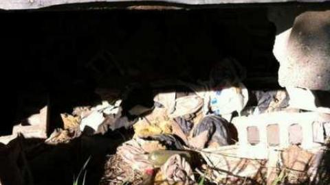 Dejecting. - Mess-on-Dundas78.jpg