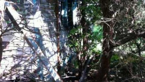 Dejecting. - Mess-on-Dundas82.jpg