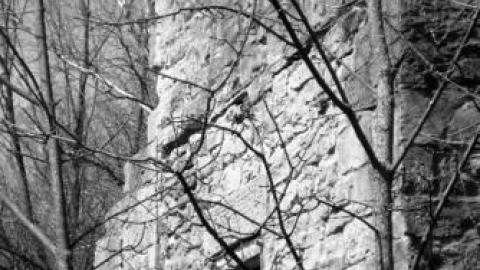 Gallery - Darnley-Mill-Crooks-Hollow73.jpg