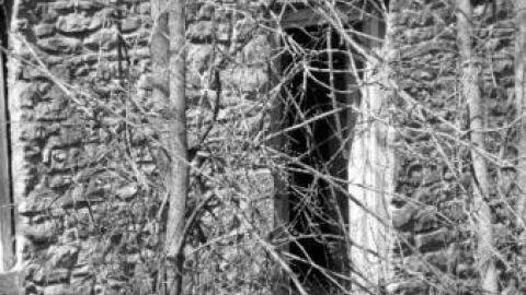 Gallery - Darnley-Mill-Crooks-Hollow75.jpg