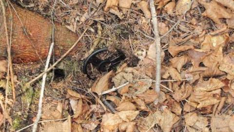 Nipigon Ski Hill - Nipigon-Ski-Hill20.jpg