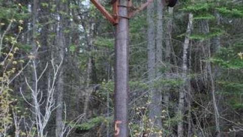 Nipigon Ski Hill photo 3