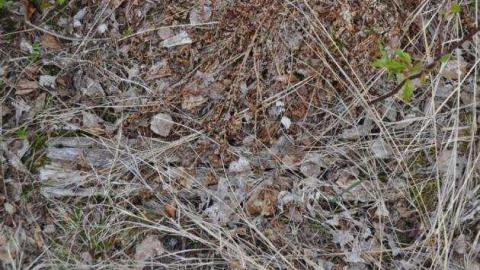 Nipigon Ski Hill - Nipigon-Ski-Hill15.jpg