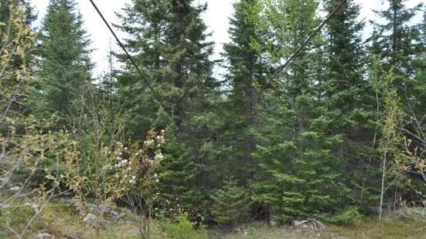 Nipigon Ski Hill - Nipigon-Ski-Hill10.jpg