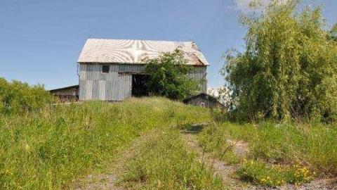 Milton 4th Line - Barn2.jpg
