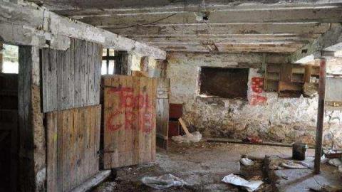 Barn - Milton, Ontario