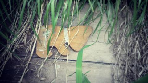 Well Guarded - Hwy-400-near-Innisfil-Beach-Rd9.jpg